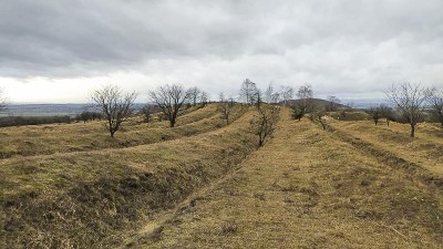 TIP NA VÝLET: Vydejte se na kopec bílého kamene. Místní křemenec využívali už lidé v pravěku