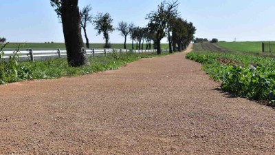 Vyšlapanou cestičku na kraji pole nahrazuje nová cesta pro pěší i cyklisty