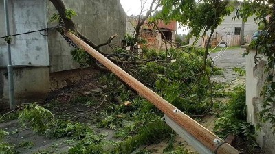 Popadané stromy, přetrhané dráty elektrického vedení. Pondělní bouřky zaměstnaly hasiče