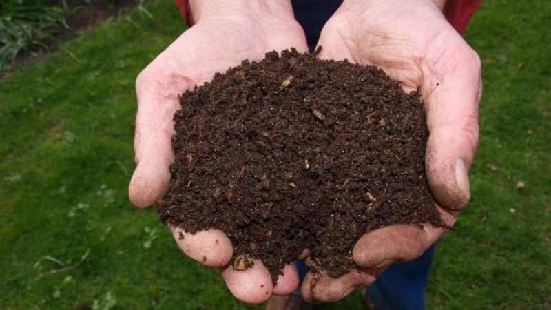 Ilustračn&iacute; sn&iacute;mek. Zdroj: Pixabay / CC0