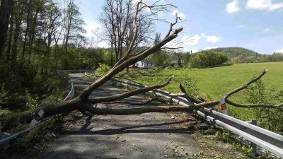 Prvomájový vichr lámal stromy a větve, hasiči v kraji zasahovali u dvaatřiceti událostí