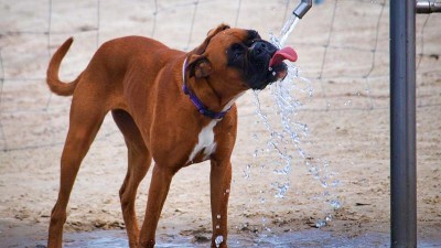 Supertropy jsou tady. Na teploměrech uzříme až 37 °C ve stínu