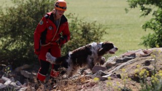 Foto: Záchranná brigáda kynologů Ústeckého kraje