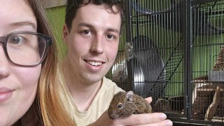  Malý osmák se dočkal nové adoptivní rodiny a hlavně dvou kamarádů. Foto: AniDef, útulek Žim