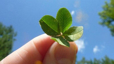 Věříte na sílu čísel? Mnoho sázkařů chce využít "smolný pátek třináctého" k přilákání štěstěny