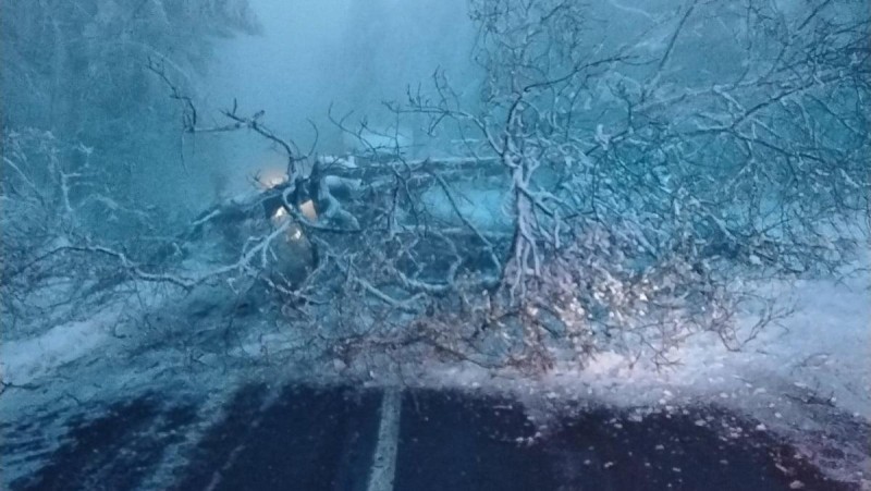 Stromy obtěžkan&eacute; n&aacute;mrazou padaj&iacute; na silnice, běžeck&eacute; trasy i elektrick&eacute; dr&aacute;ty. Hasiči maj&iacute; za sebou ru&scaron;n&eacute; hodiny. Foto: HZS &Uacute;steck&eacute;ho kraje