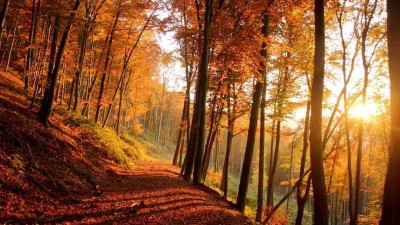 Ilustrační foto: Pixabay / CC0