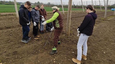 Práce na chmelnici byla tématem badatelské výpravy pro školáky