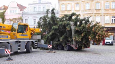 Dva vánoční stromy míří do Žatce. Řidiče čeká dopravní omezení hned v několika ulicích