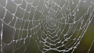 Meteorologické jaro začne nočním deštěm a neúnavnou nízkou oblačností