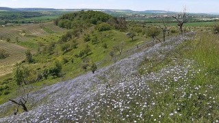 Blšanský chlum. Foto zdroj: Město Loun