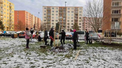 Dobrovolníci vysázeli na sídlišti Jih v Žatci desítky nových stromů