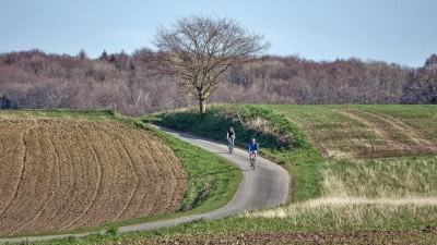 Ilustrační foto: Pixabay / CC0