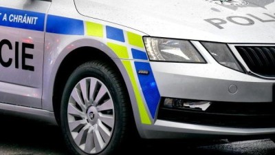 &bdquo;Zbiju tě jako psa,&ldquo; křičel na policistu opil&yacute; muž z Loun. Vystř&iacute;zlivět musel v policejn&iacute; cele
