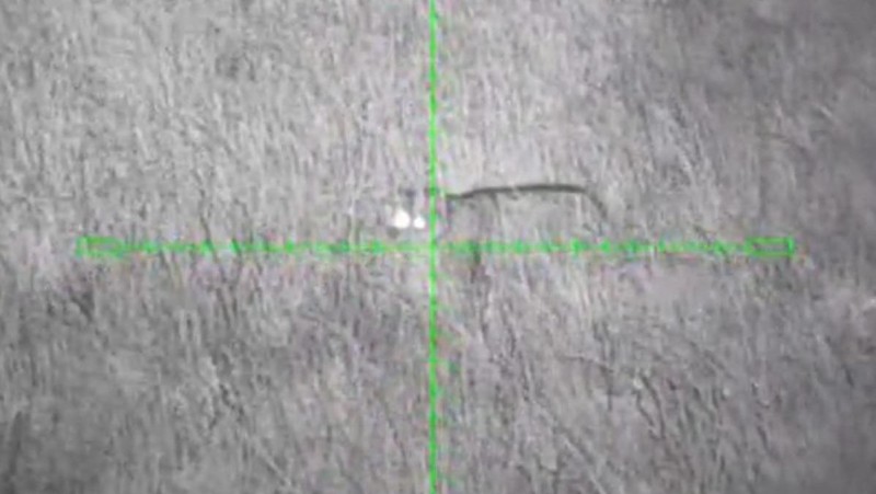 Oblastí prochází monitorovaný samec Pepa. Foto: město Podbořany