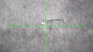 Oblastí prochází monitorovaný samec Pepa. Foto: město Podbořany