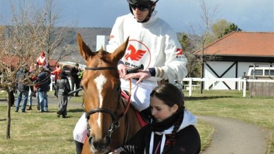 12 TIPŮ NA VÍKEND: Dostihy, sport, koncerty i exkurze. Kam se můžete jít o víkendu pobavit?